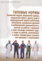 Типовые нормы выдачи специальной одежды. Нормы бесплатной выдачи специальной одежды. Типовые отраслевые нормы выдачи СИЗ. Нормы бесплатной выдачи специальной одежды специальной обуви. Нормы выдачи специальной одежды.