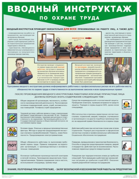 Плакат. Вводный инструктаж по охране труда (1л., 45х60см, Соуэло) Плакат. Вводный инструктаж по охране труда (1л., 45х60см, Соуэло)