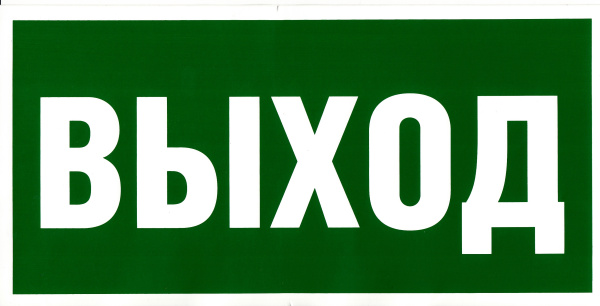Самоклеющаяся табличка. (E 22). Указатель выхода (300х150мм)