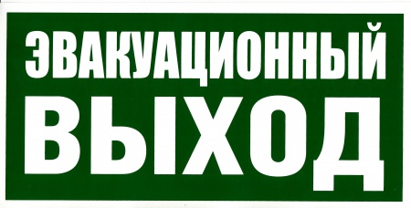 Знак безопасности на пластике "Эвакуационный выход" (300х150мм)