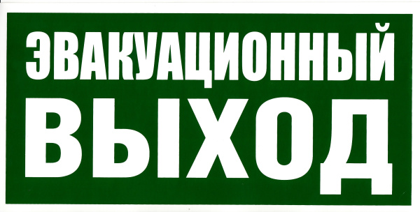 Фотолюминесцентный знак безопасности. (Е 24) Эвакуационный выход (150х300).