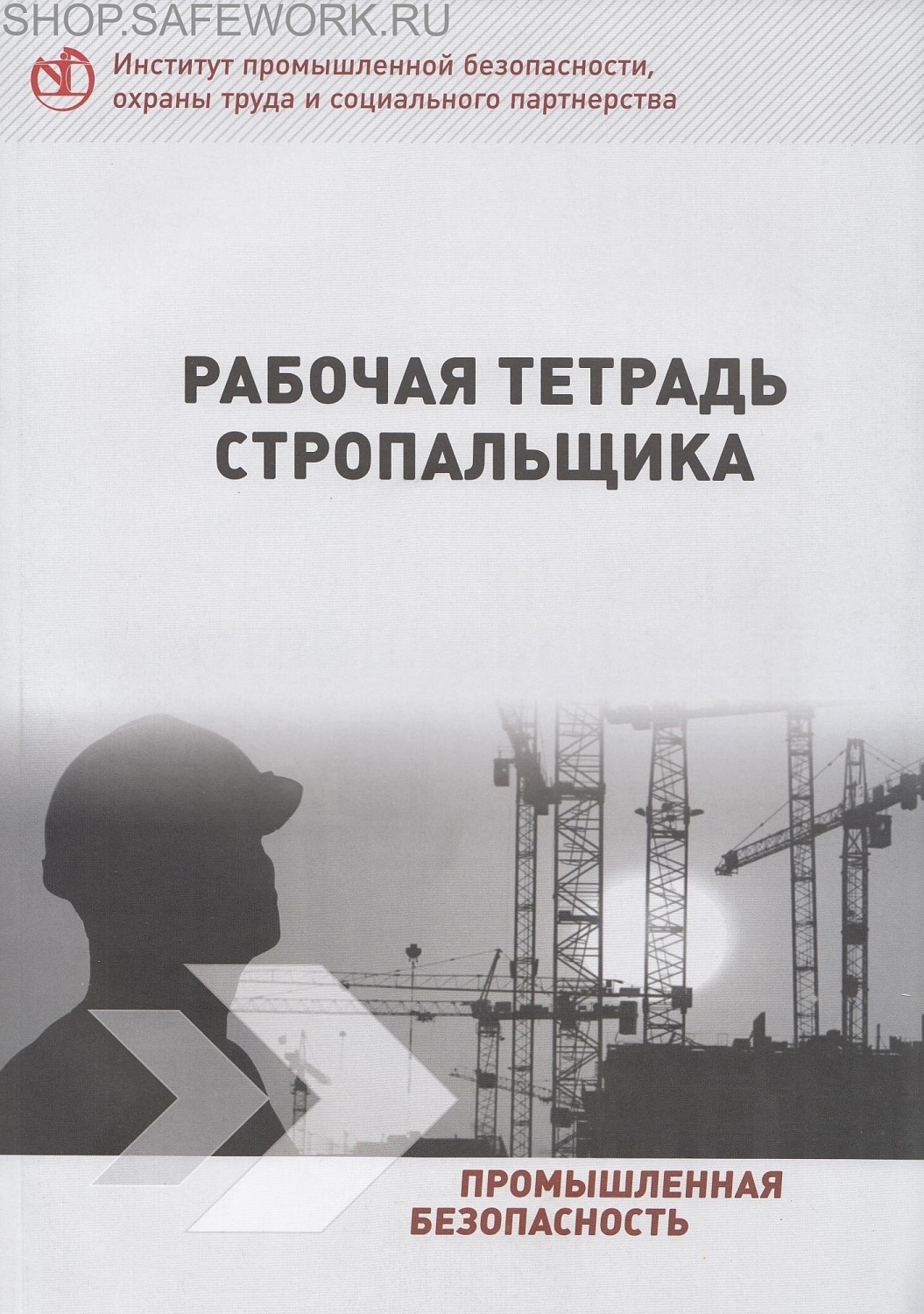 Учебные пособия. Разработки Института